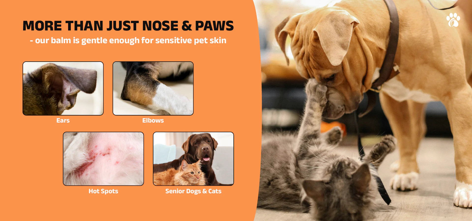 Garden of Wellness Shop