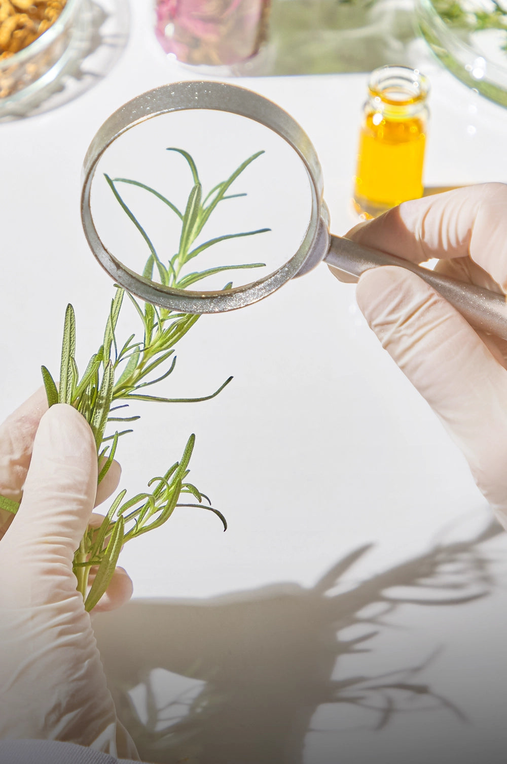 Garden of Wellness Shop