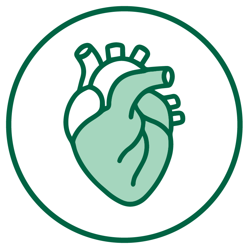 Supplements for Cardiovascular Health