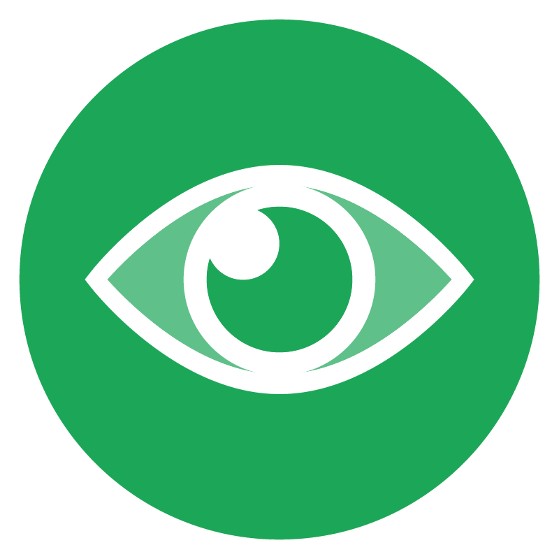 Brain & Vision