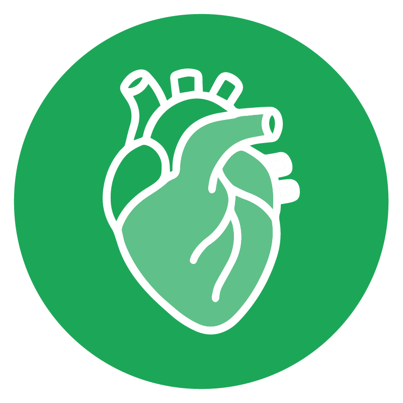 Cardiovascular Health