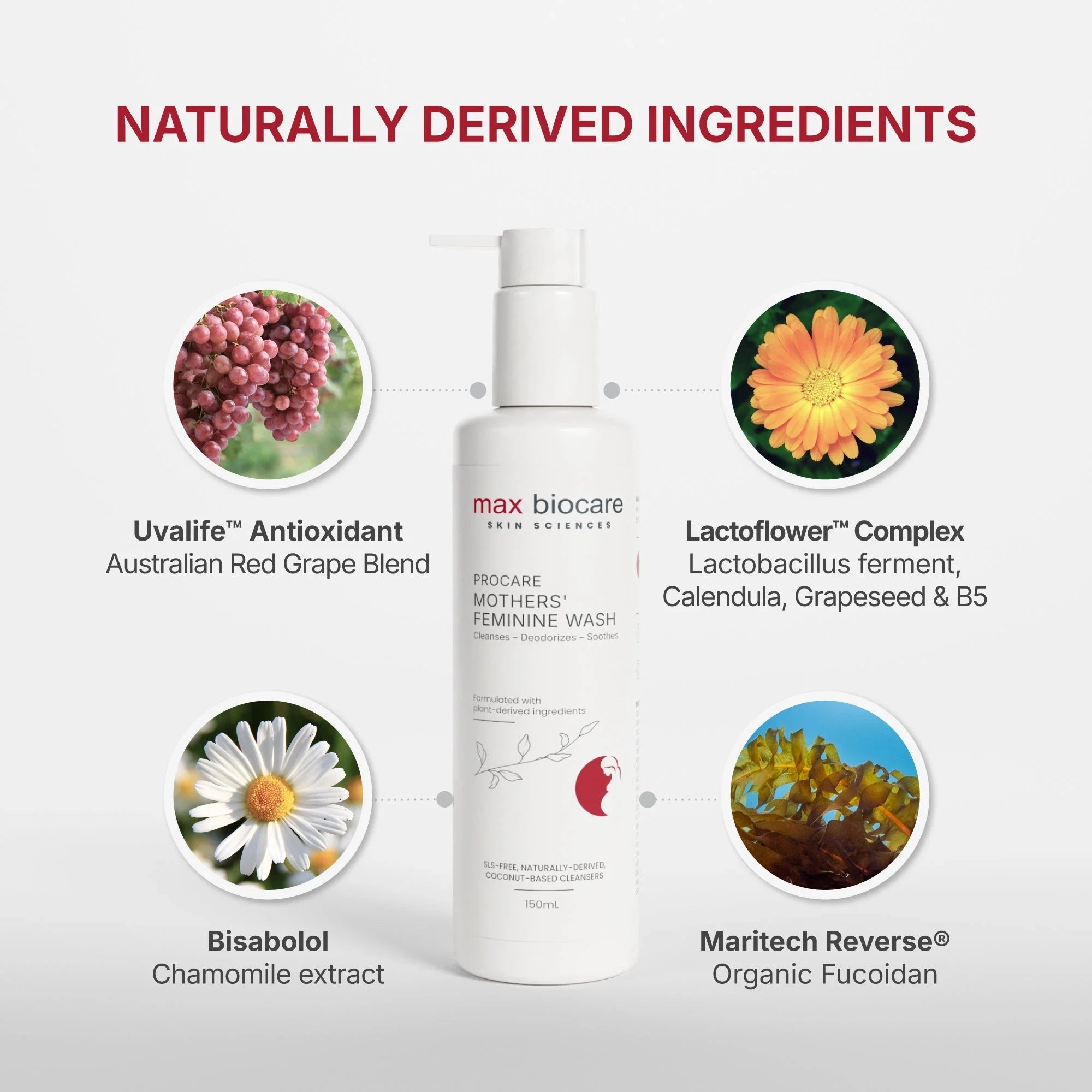 Procare Mothers' Feminine Wash