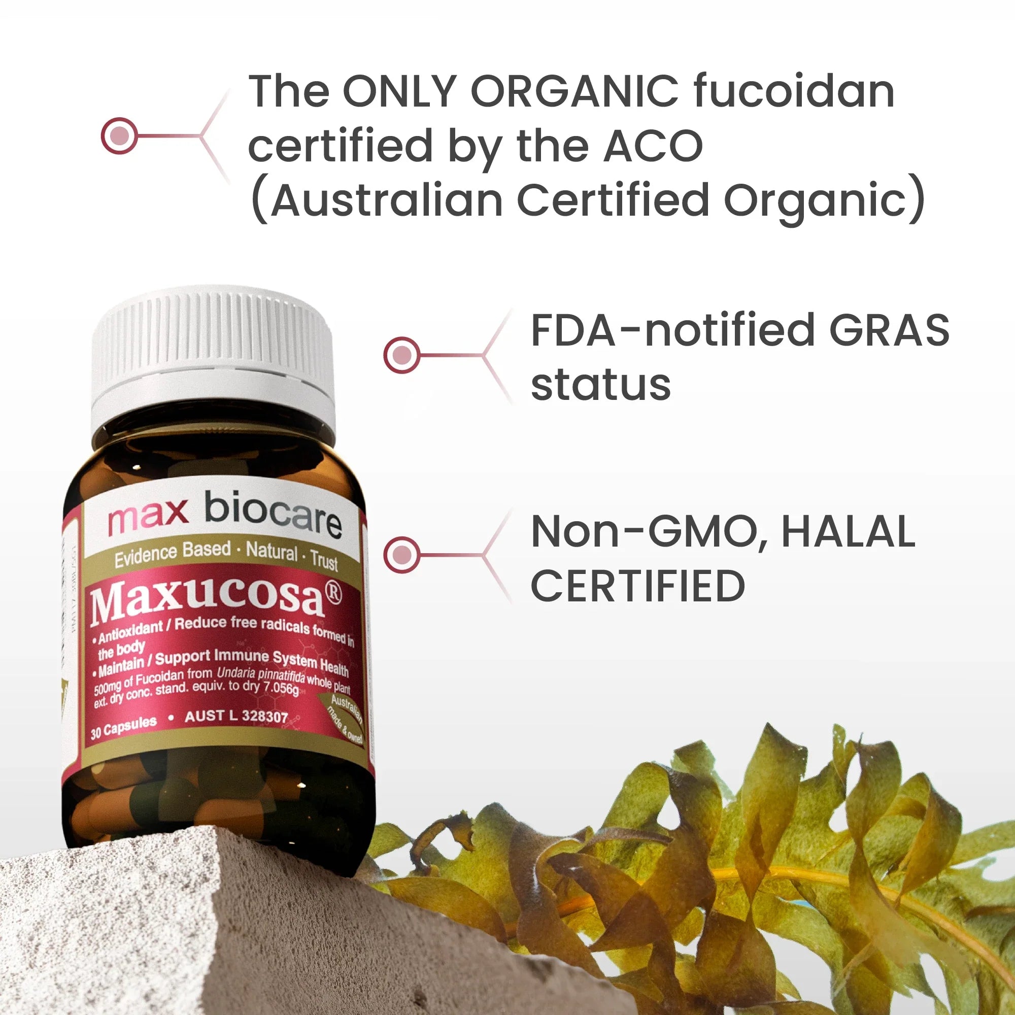 Maxucosa®