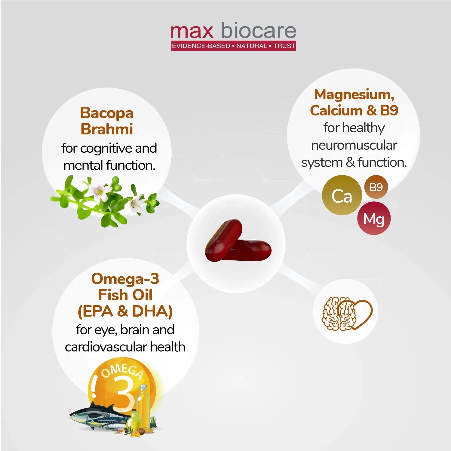 Neurocard Max