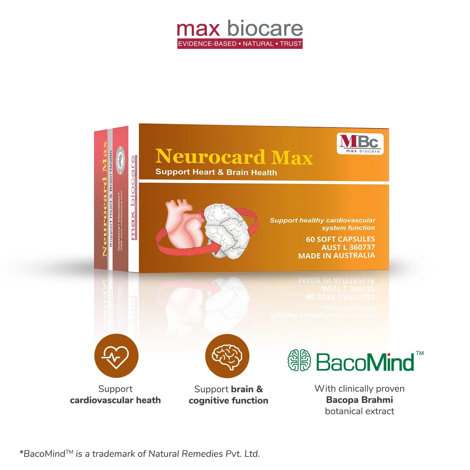 Neurocard Max