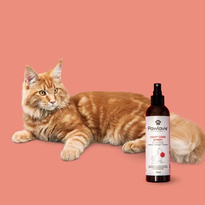 Coat Care Spray - For cats of all ages