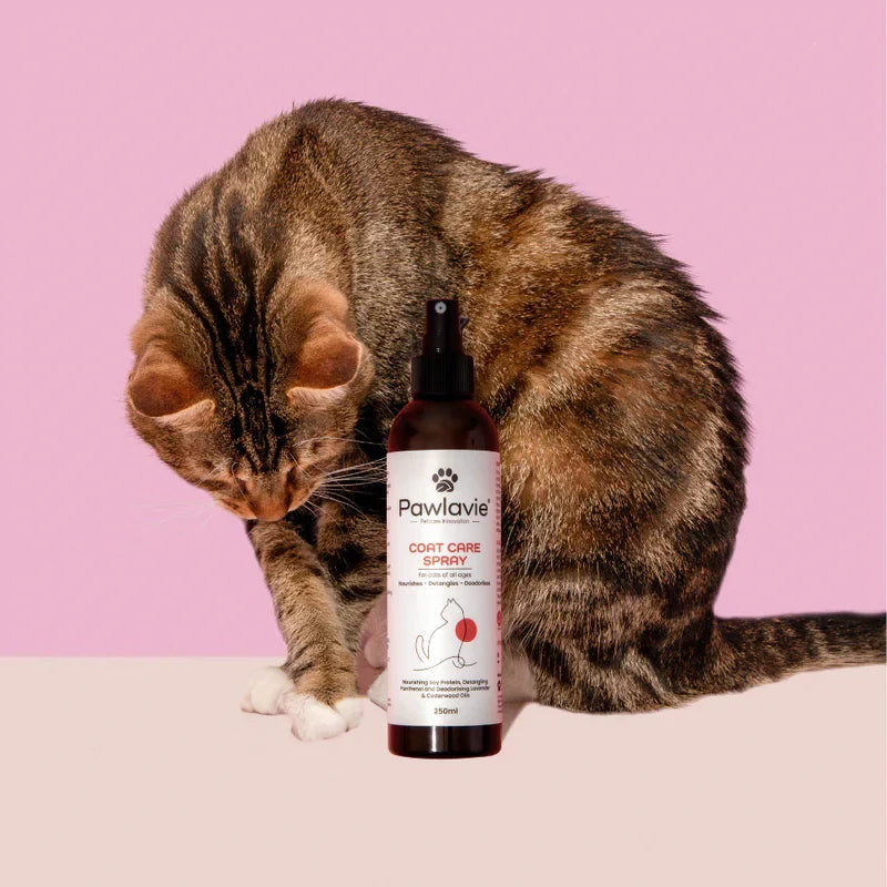 Coat Care Spray - For cats of all ages