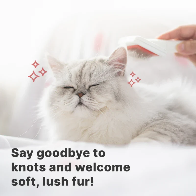 Coat Care Spray - For cats of all ages