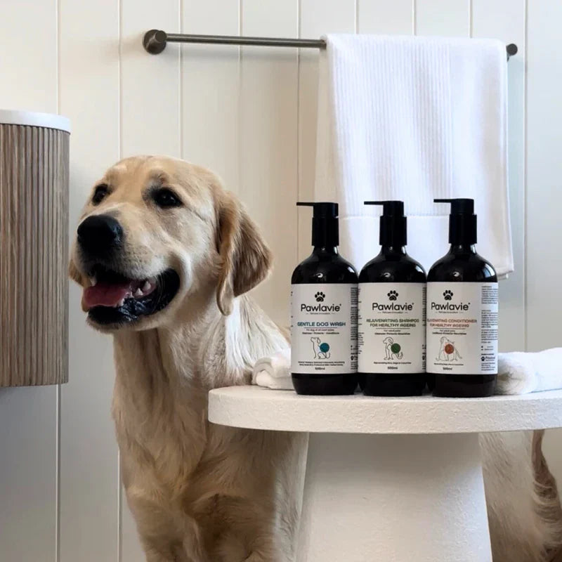 Gentle Dog Wash - For dogs of all coat types