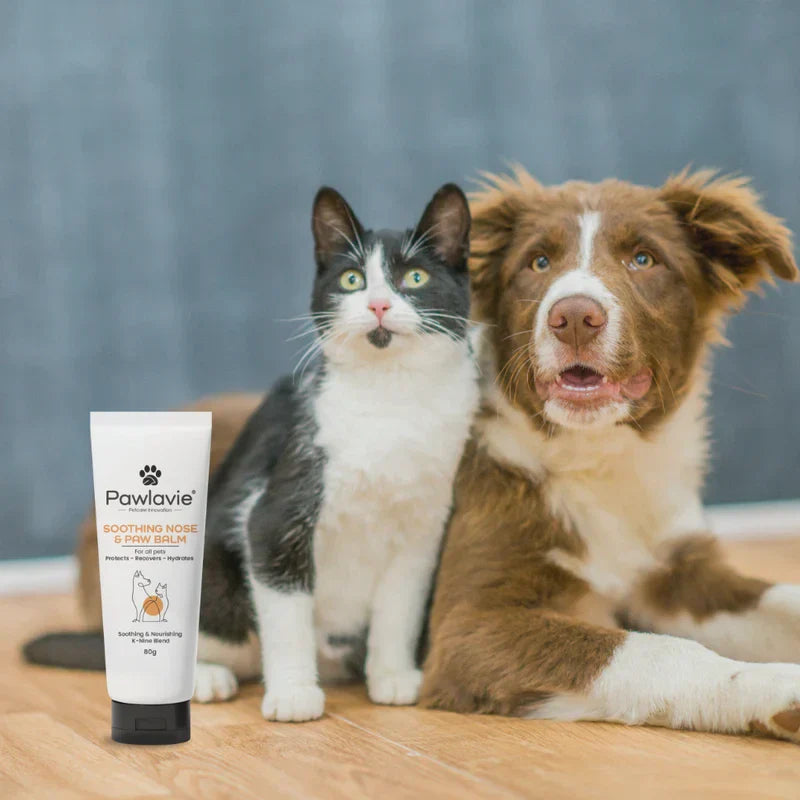 Soothing Nose & Paw Balm - For Cats & Dogs