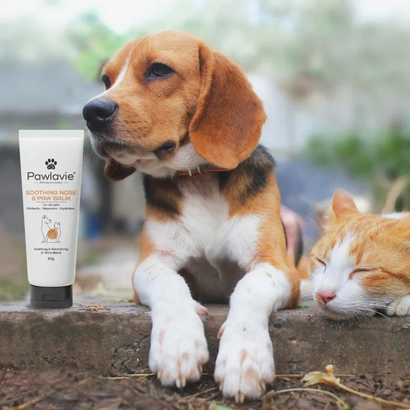 Soothing Nose & Paw Balm - For Cats & Dogs