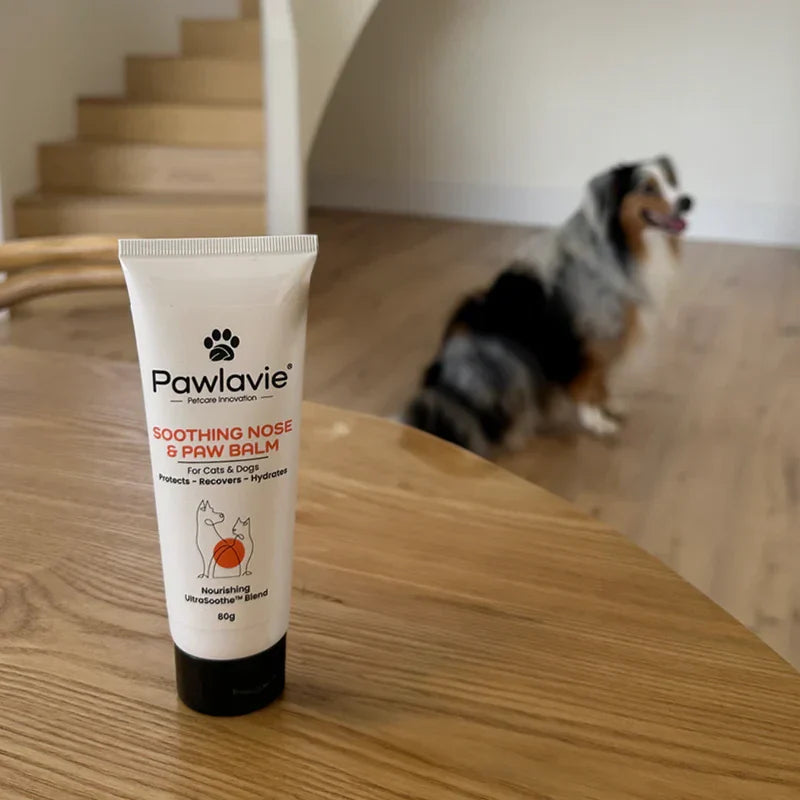 Soothing Nose & Paw Balm - For Cats & Dogs