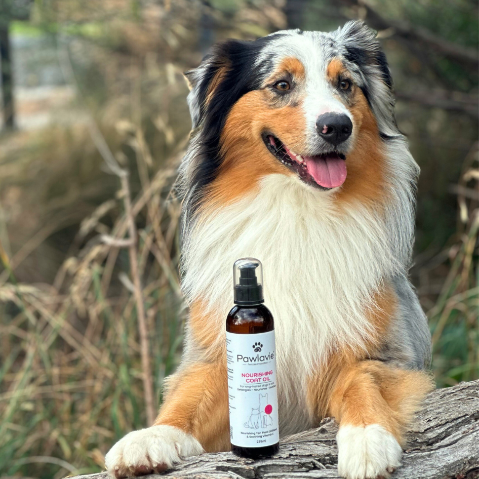 Nourishing Coat Oil - For long-haired dogs & cats